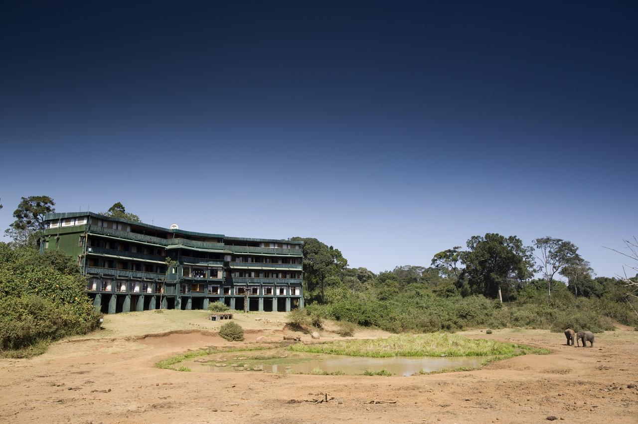 Serena Mountain Lodge Kabaru Exterior photo